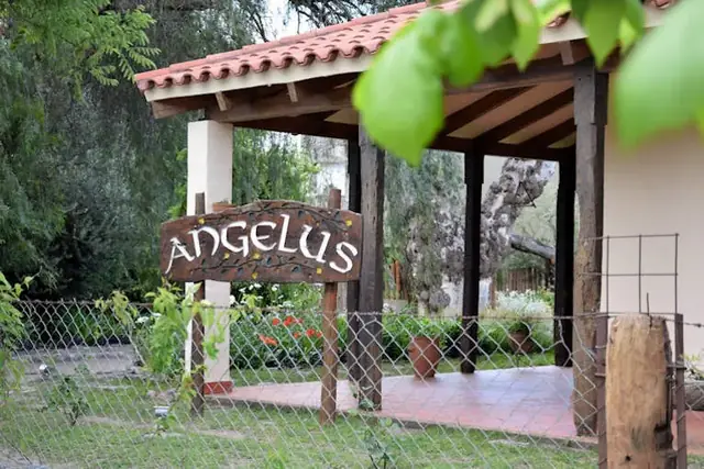 ANGELUS