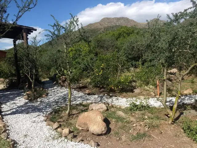 Caminos al Ser 3
