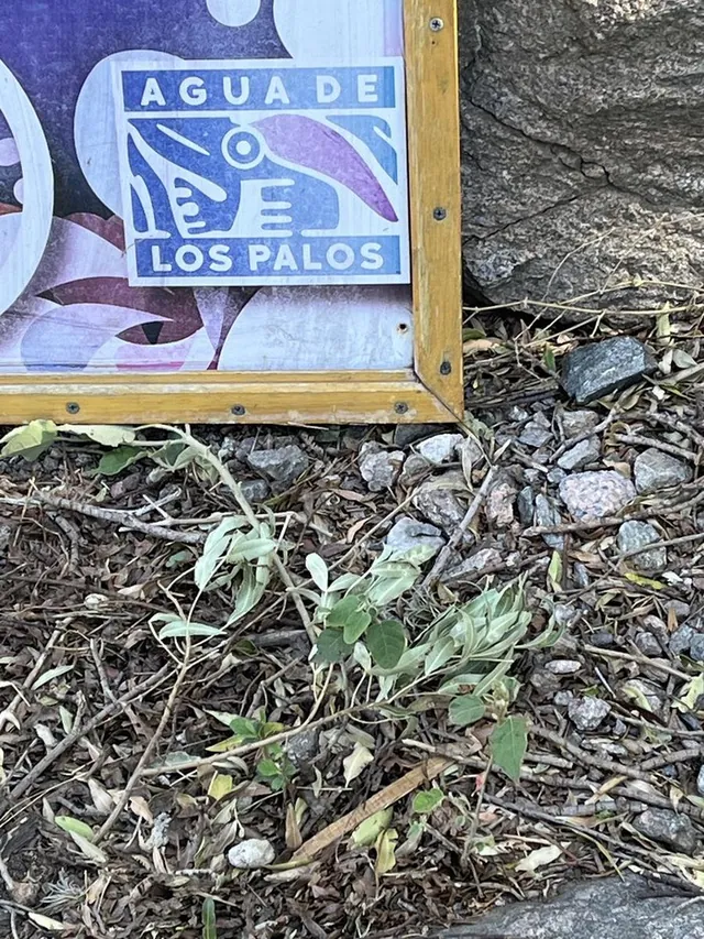 Las Gemelas y otro