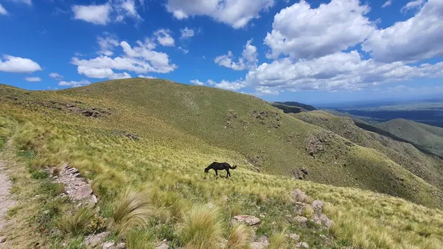 Cerro las Gemelas